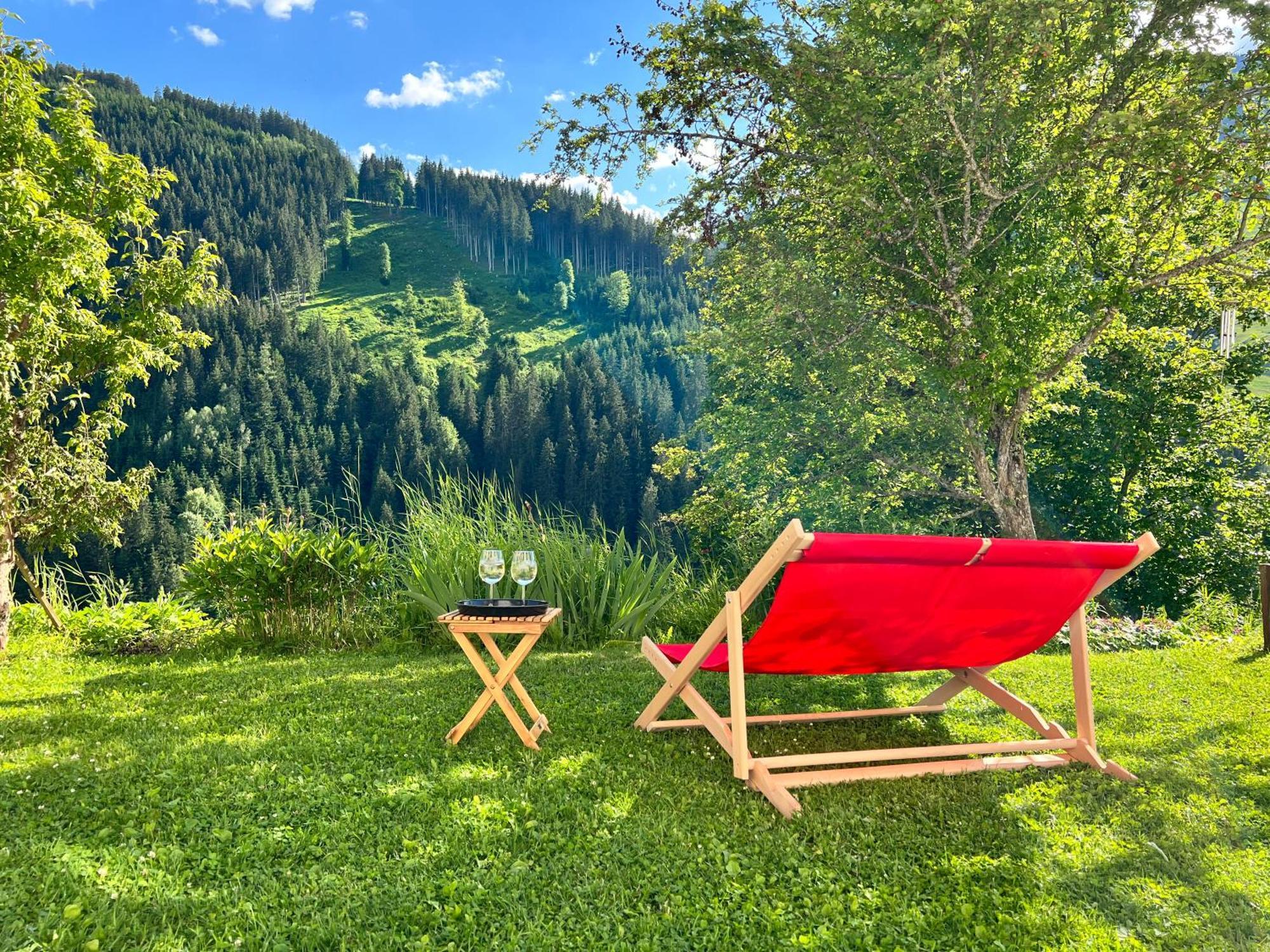 Alm Seasons Premium Chalet & Studios 萨尔巴赫 外观 照片