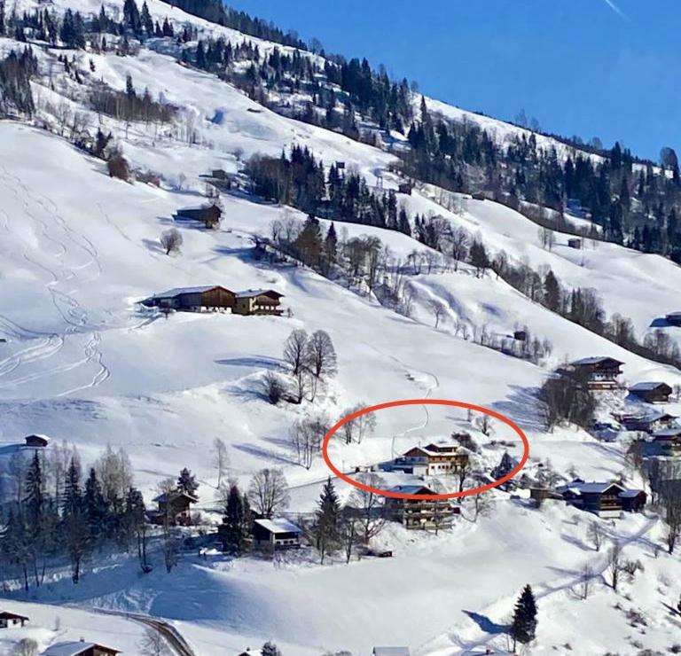 Alm Seasons Premium Chalet & Studios 萨尔巴赫 外观 照片