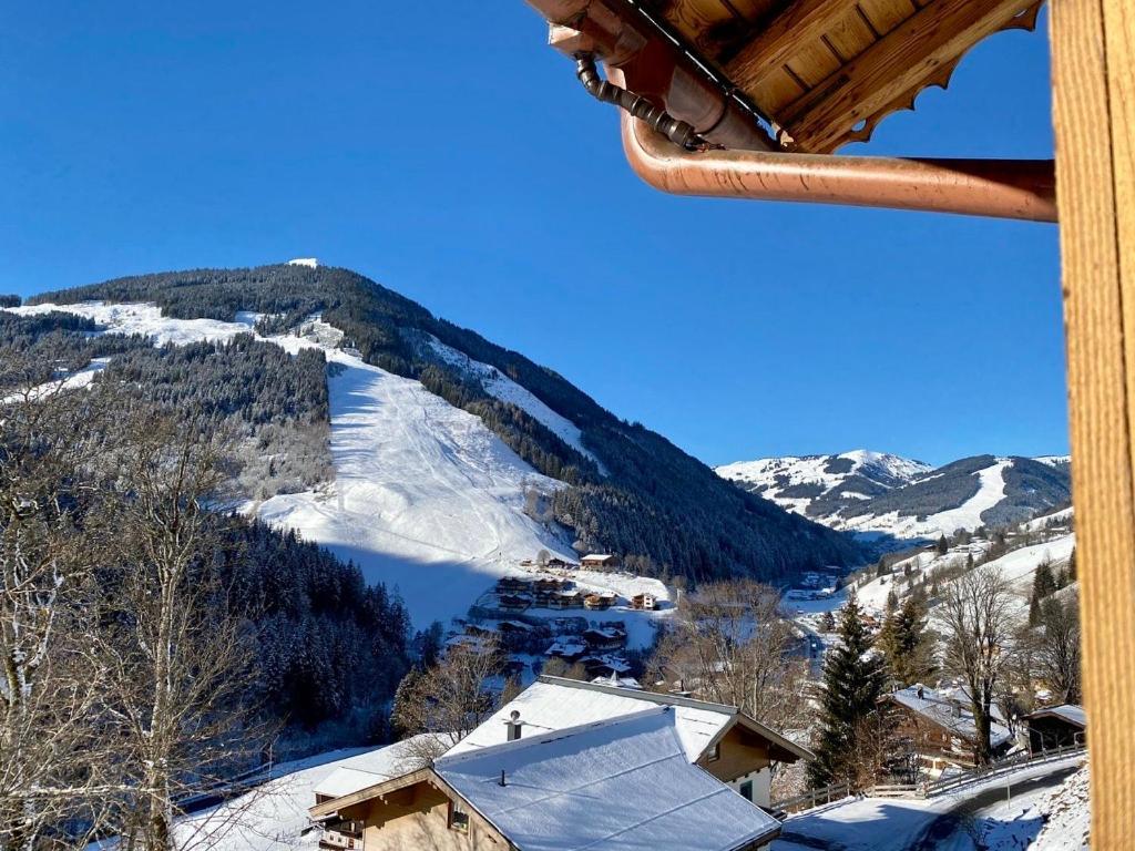 Alm Seasons Premium Chalet & Studios 萨尔巴赫 外观 照片
