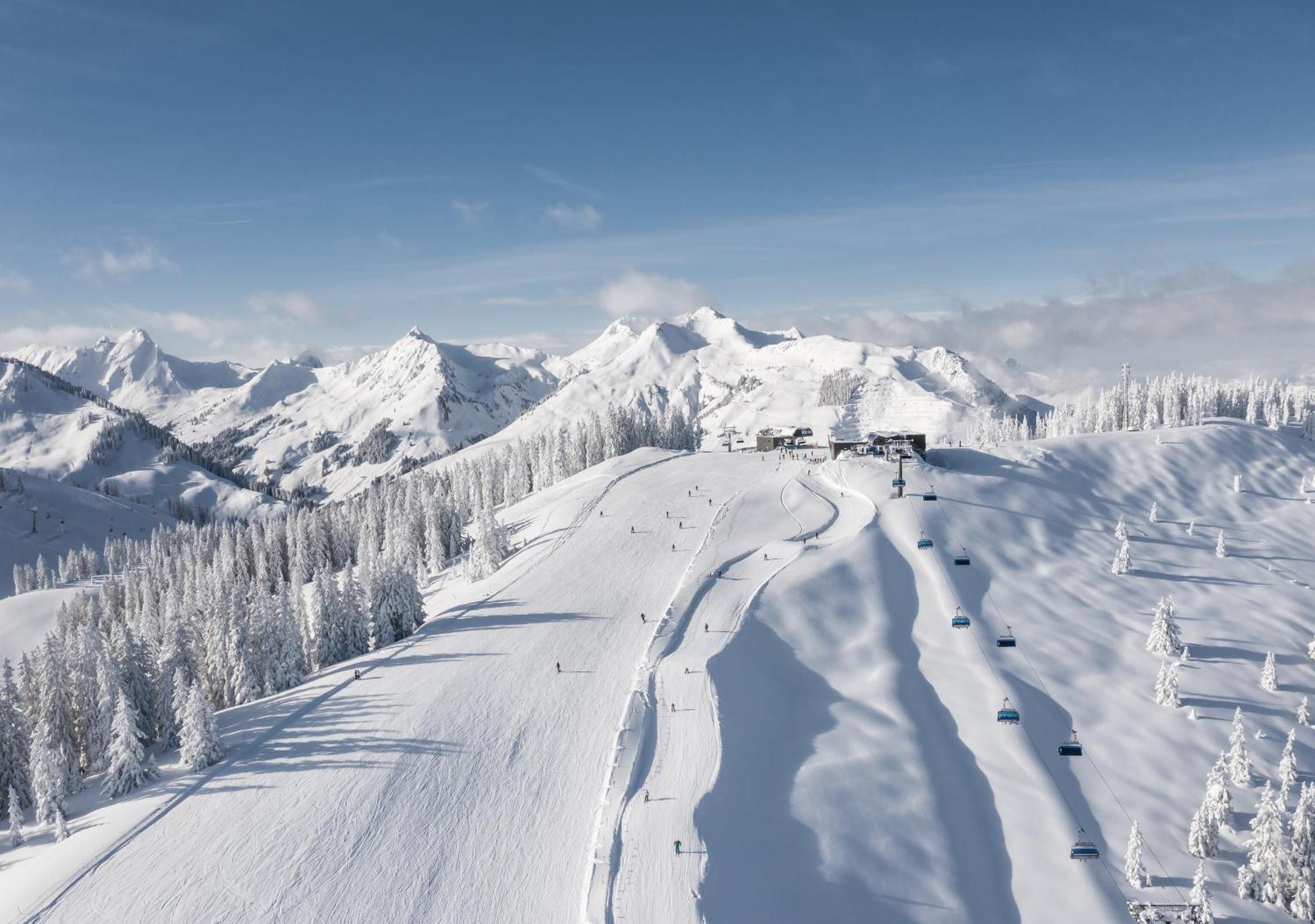 Alm Seasons Premium Chalet & Studios 萨尔巴赫 外观 照片