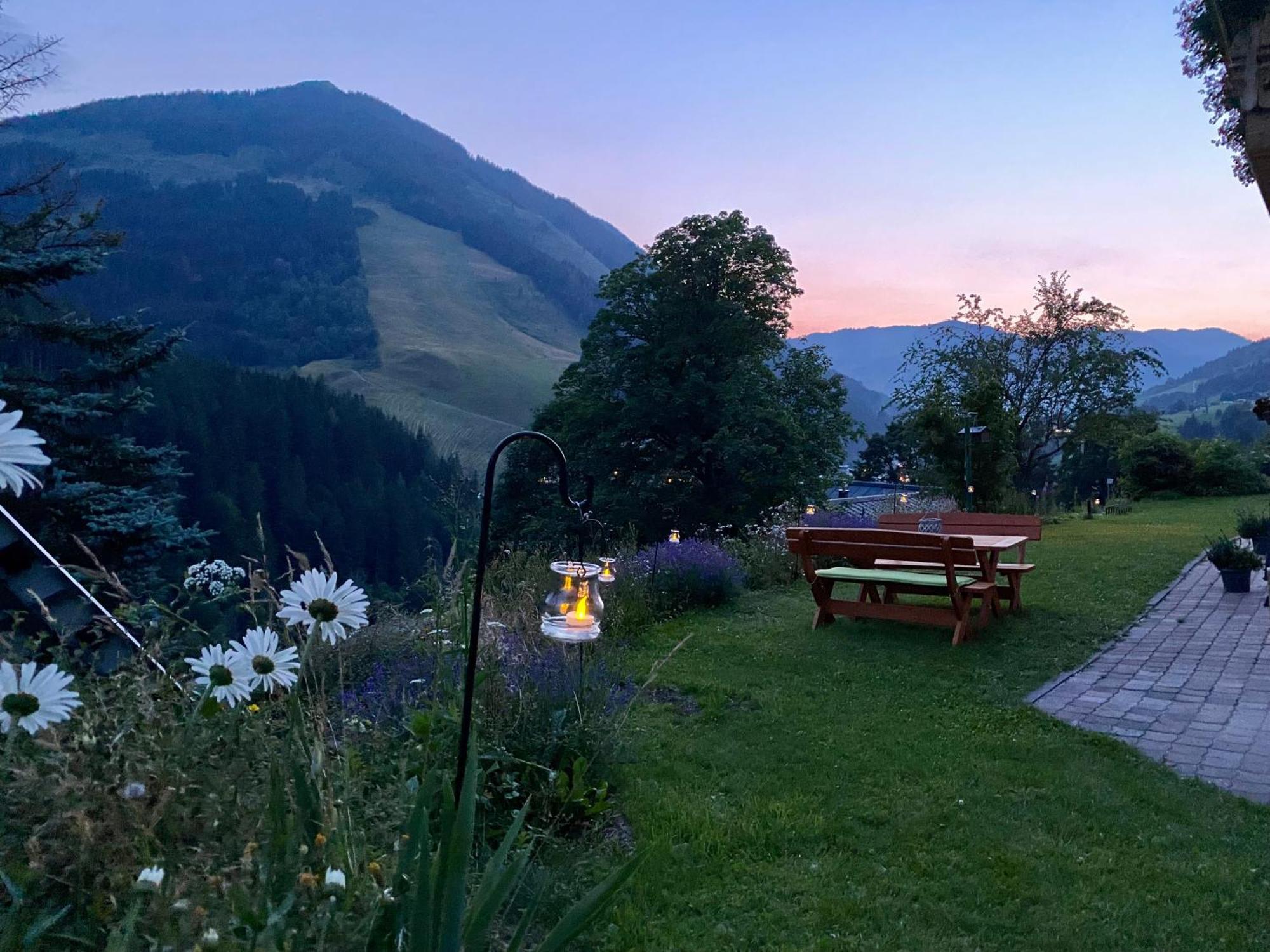 Alm Seasons Premium Chalet & Studios 萨尔巴赫 外观 照片