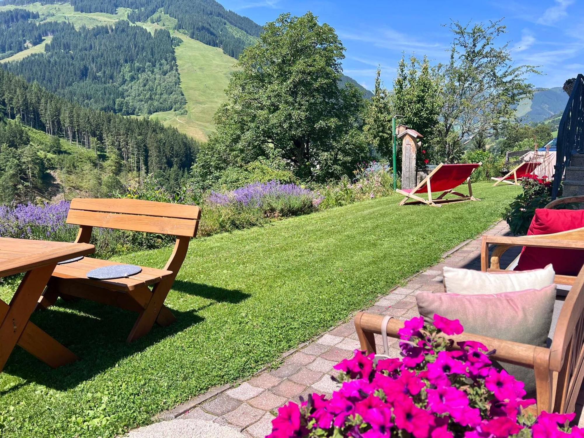 Alm Seasons Premium Chalet & Studios 萨尔巴赫 外观 照片